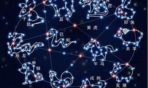 分析十二星座的眼神-十二星座的眼睛是什么意思